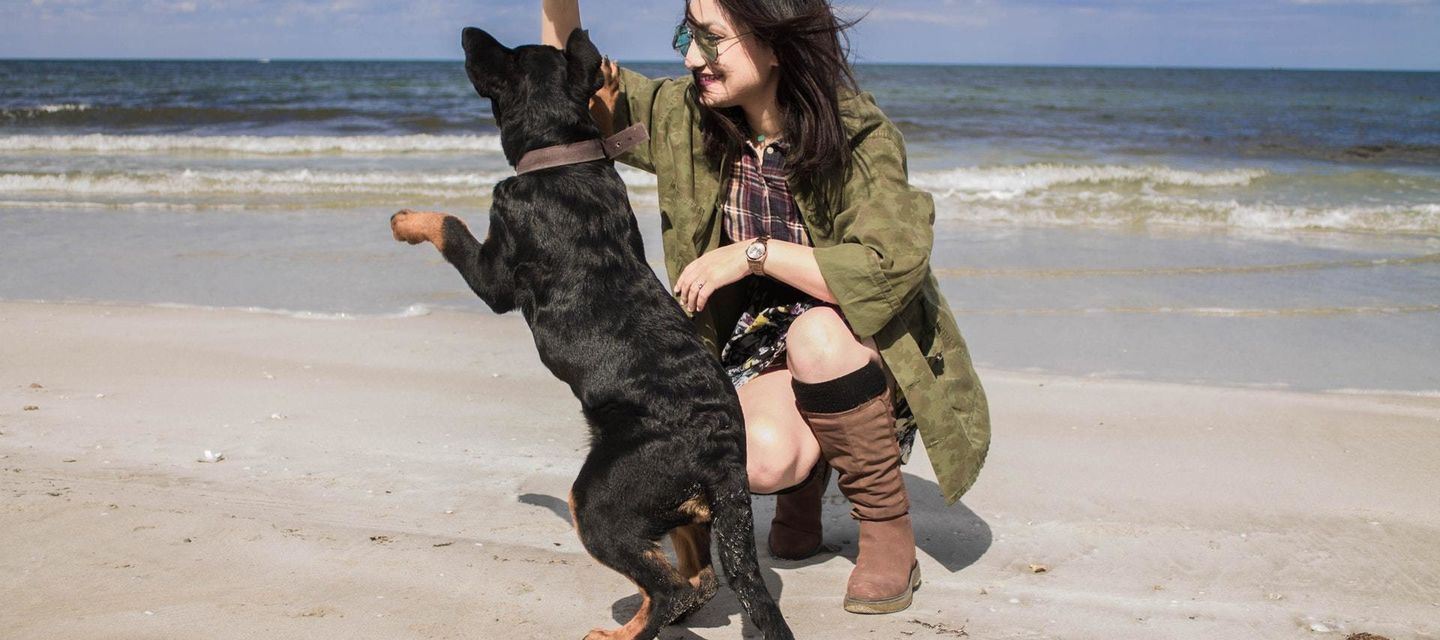 Hier mag je WEL met je hond op het strand in de zomer