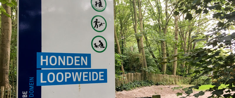 Wandelen met de hond in Oostende Mariahendrikapark