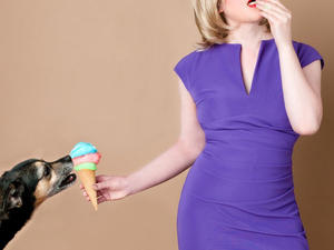 hond eet ijsje